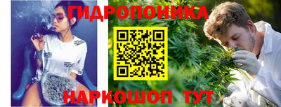 амф Краснознаменск