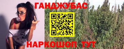амф Краснознаменск