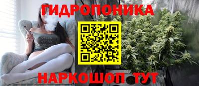 стафф Краснодар
