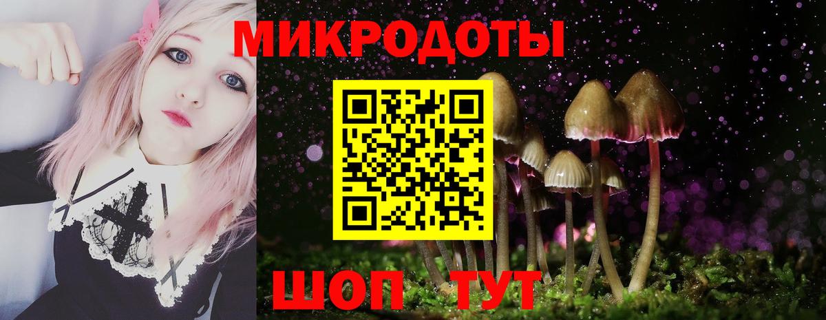 Галлюциногенные грибы мухоморы Канск